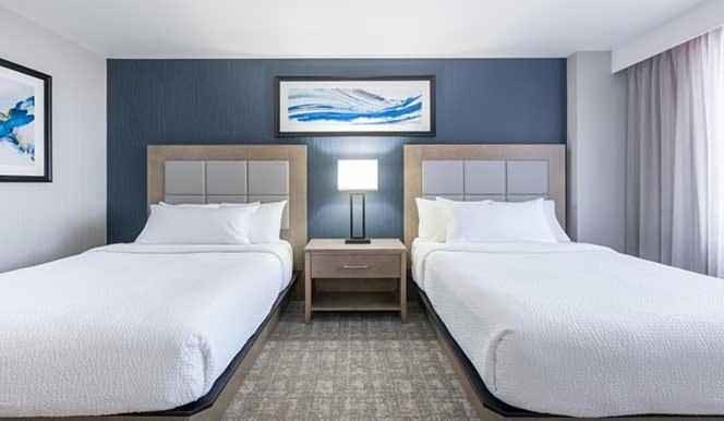The Simon Hotel Sydney Exterior foto